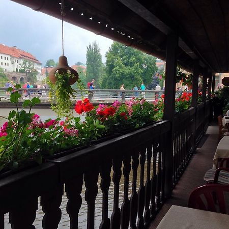 Pension Meandr Český Krumlov Dış mekan fotoğraf